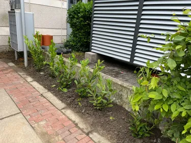 Ein gepflasterter Gehweg aus roten Ziegelsteinen, der in einer geraden Linie verläuft.