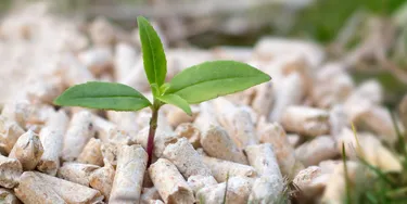 Holzpellets zur Wärmegewinnung reduzieren Ihren CO2 Footprint.